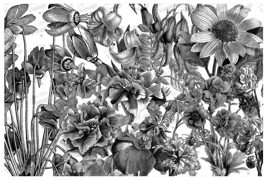 Black and White Floral | JRV Paper