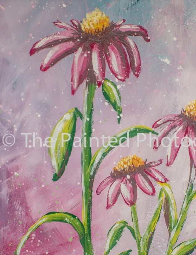 Ah! Coneflower | Connies Rice Paper | A4