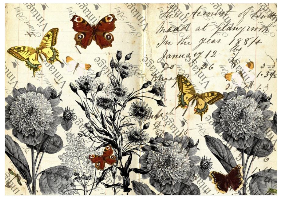 Monochromatic | JRV Rice Paper | A4