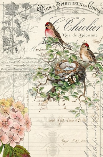 Bird Ephemera Decoupage Paper