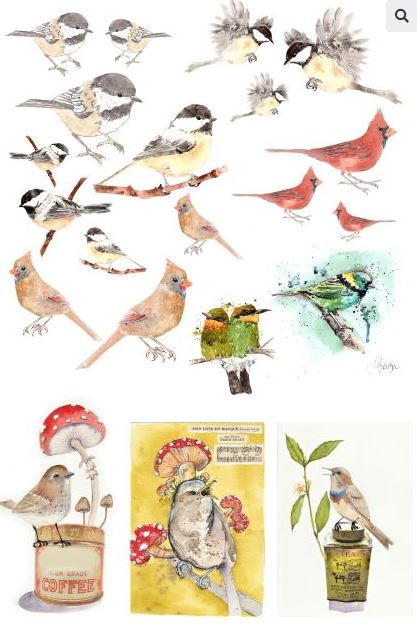 Roycycled Catalog of Birds by Lexi Grenzer