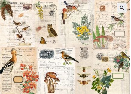 Fall Botanical Project Blocks Decoupage Paper