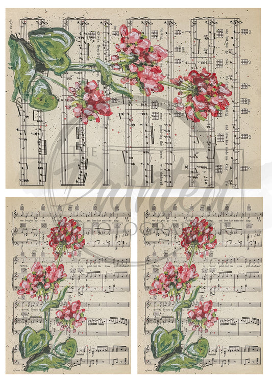 Geranium of Love | Connies Rice Paper | A4