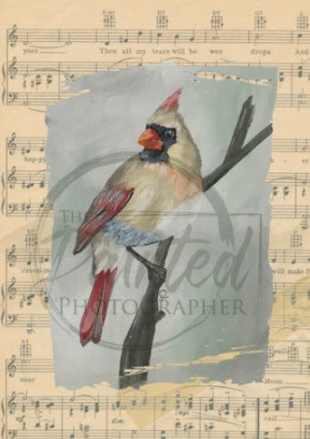 Mrs. Cardinal | Connies Rice Paper | A4