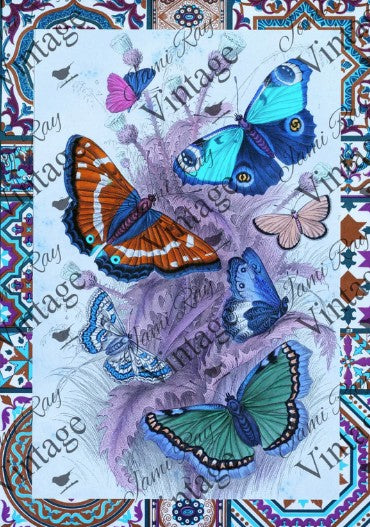 Papillon | JRV Rice Paper | A4