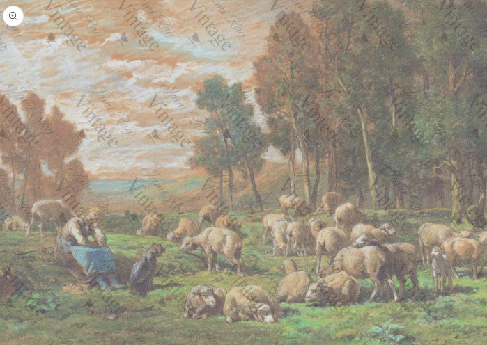 Pastoral Sheep | JRV Rice Paper | A4